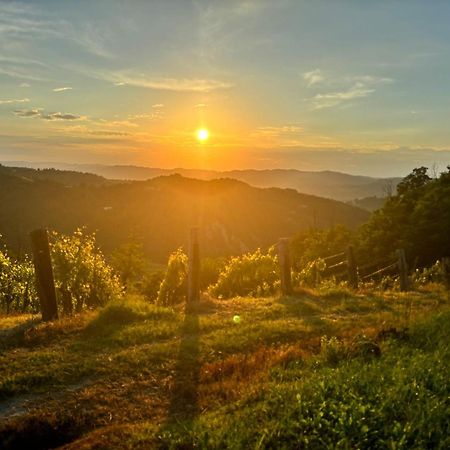 1929 Wine Food Relax Agriturismo Acqui Terme Buitenkant foto
