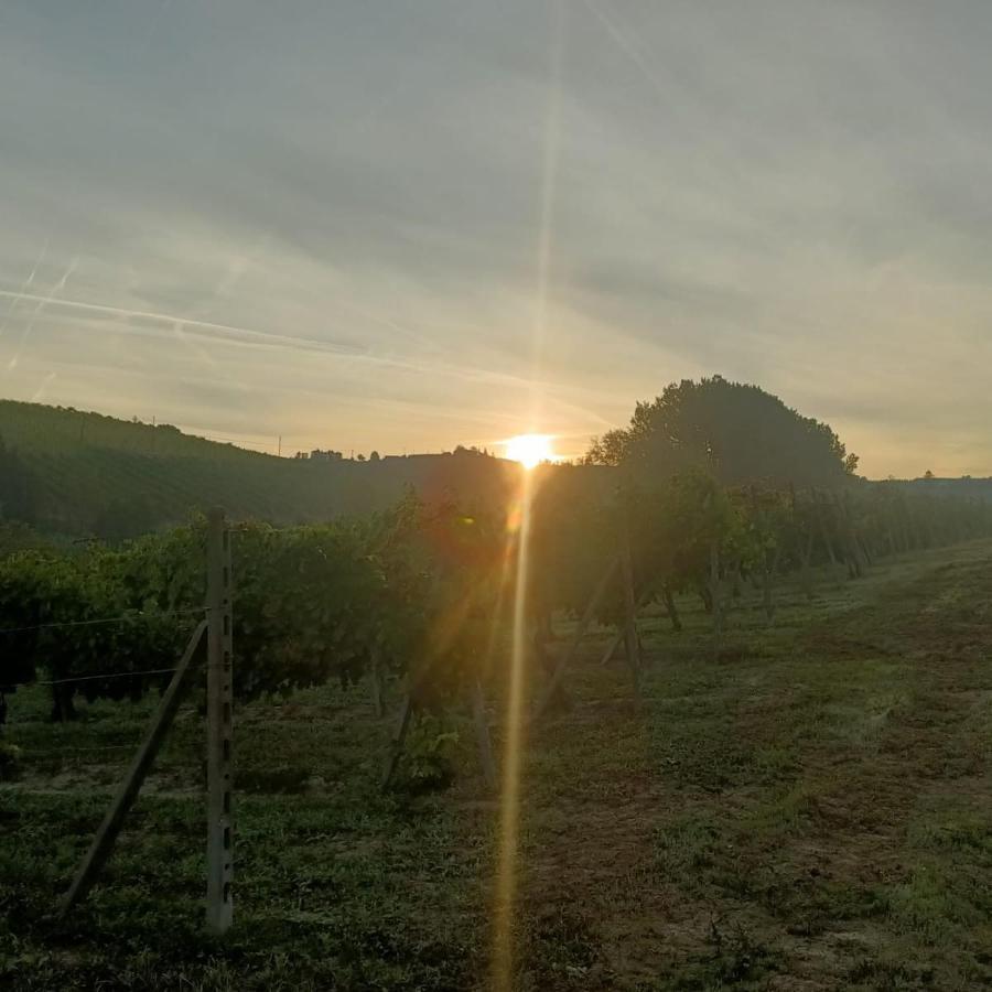 1929 Wine Food Relax Agriturismo Acqui Terme Buitenkant foto