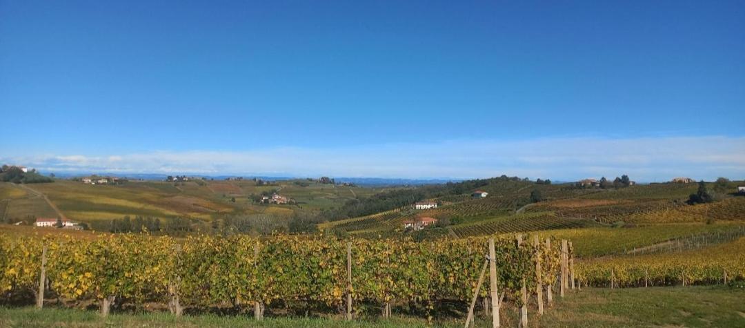 1929 Wine Food Relax Agriturismo Acqui Terme Buitenkant foto