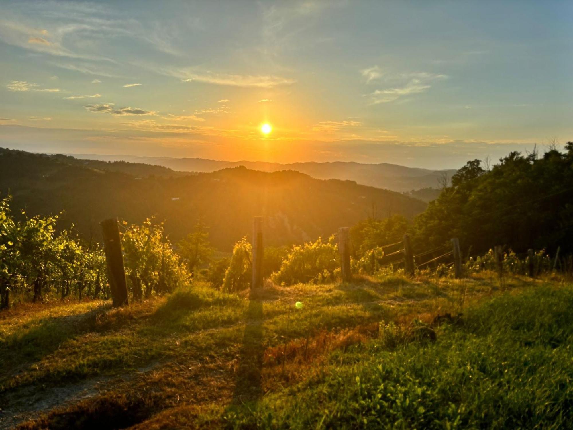 1929 Wine Food Relax Agriturismo Acqui Terme Buitenkant foto